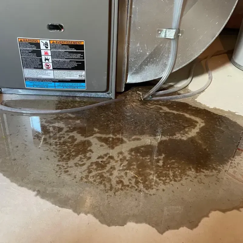 Appliance Leak Cleanup in Benson, NC